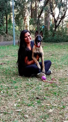 Adestrador de Cães a Domicílio na Zona Norte