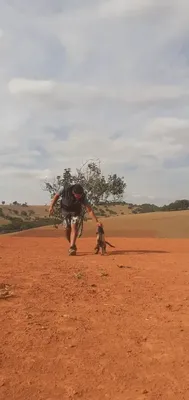 Adestrador de cães em Camanducaia