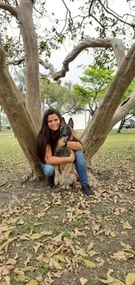 Adestrador de cães em Extrema