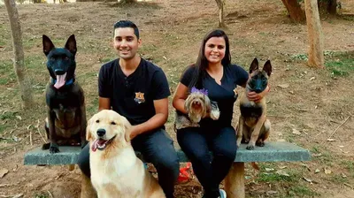 Adestrador de Cães em São Paulo