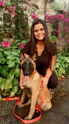 Adestramento Cachorro Filhote Alphaville