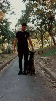 Adestramento de Cachorro na Zona Sul