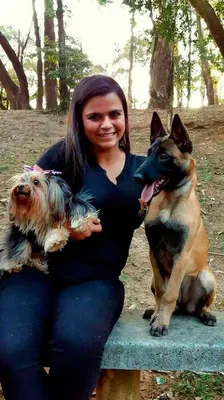 Adestramento de Cachorro Preço