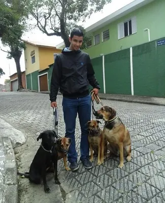 Creche em Pouso Alegre para cachorro