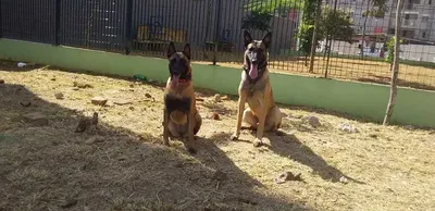 Creche no centro de Pouso Alegre para ces