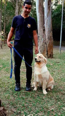 Treinador de Cães em São Paulo