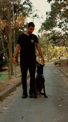 Treinador de Cães na Zona Norte