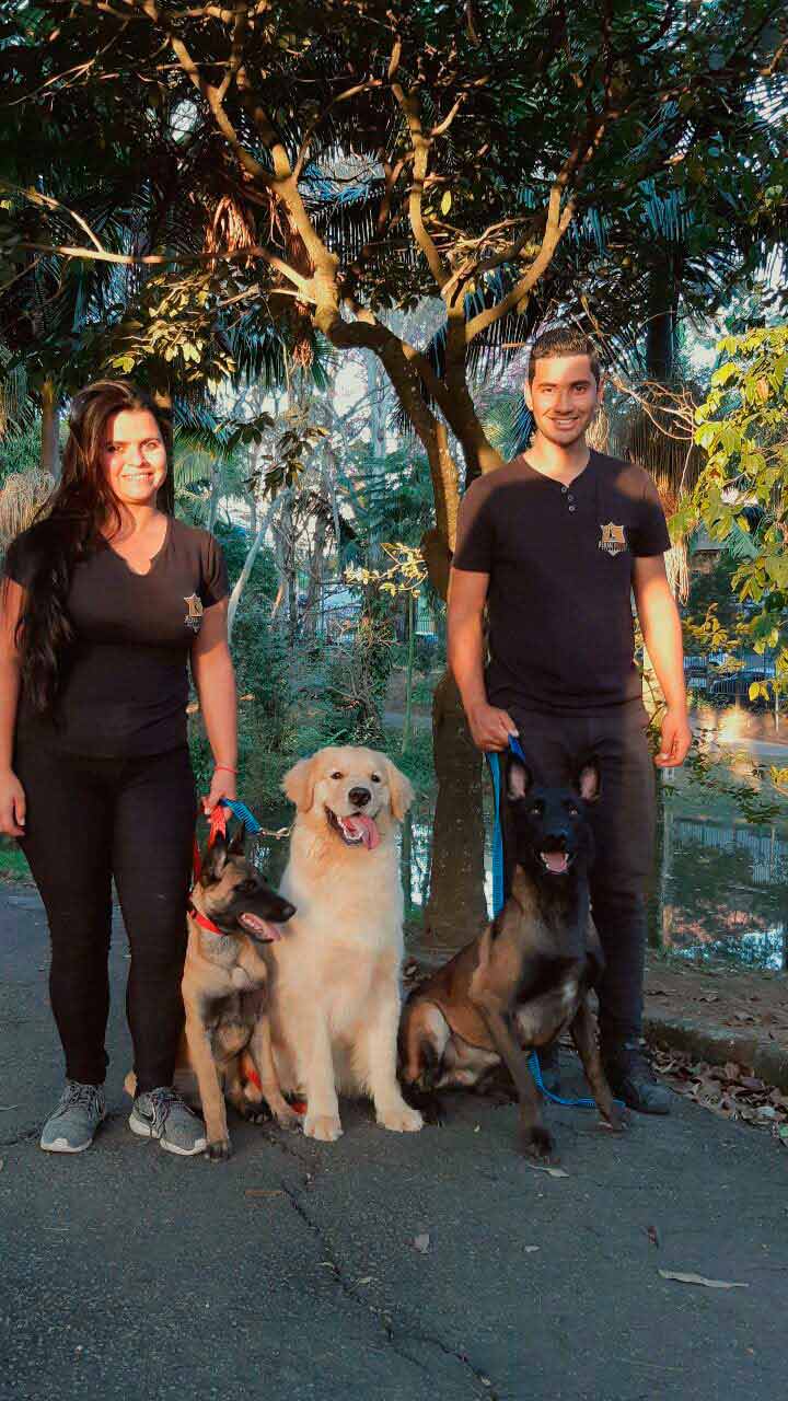 Página do Serviço Dog Walker