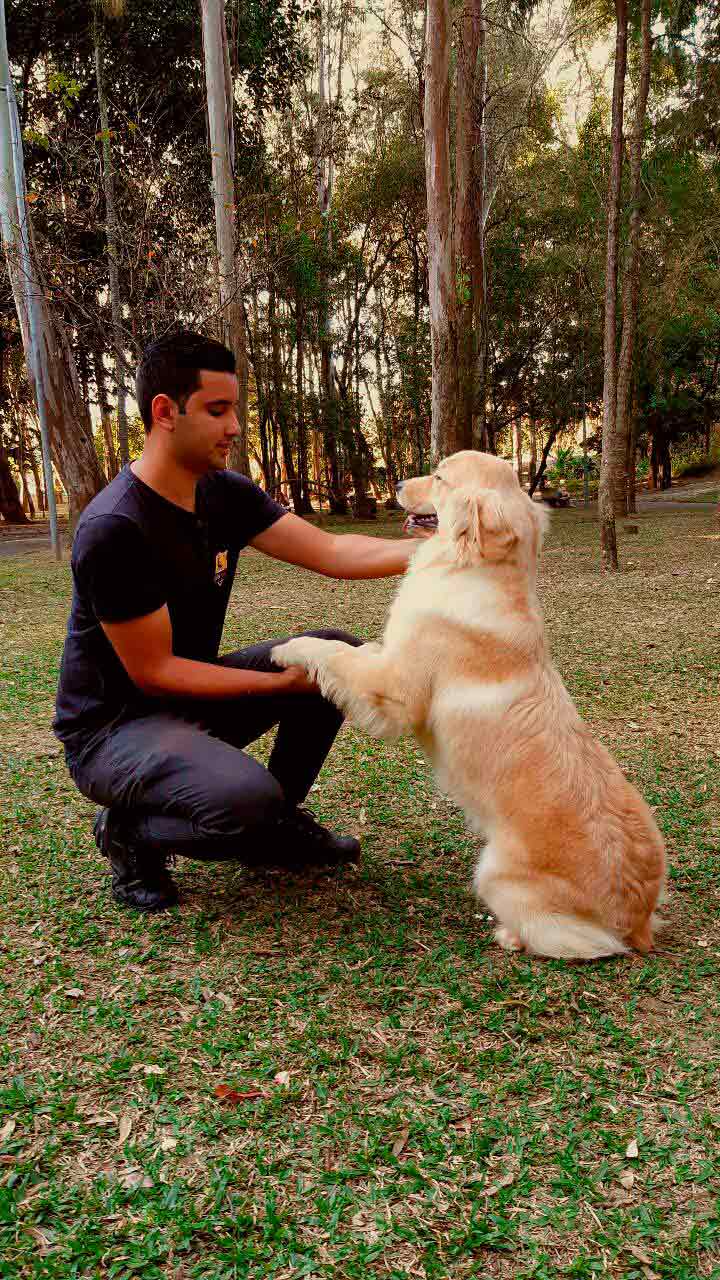 Adestrador de cachorro na zona norte Imagem