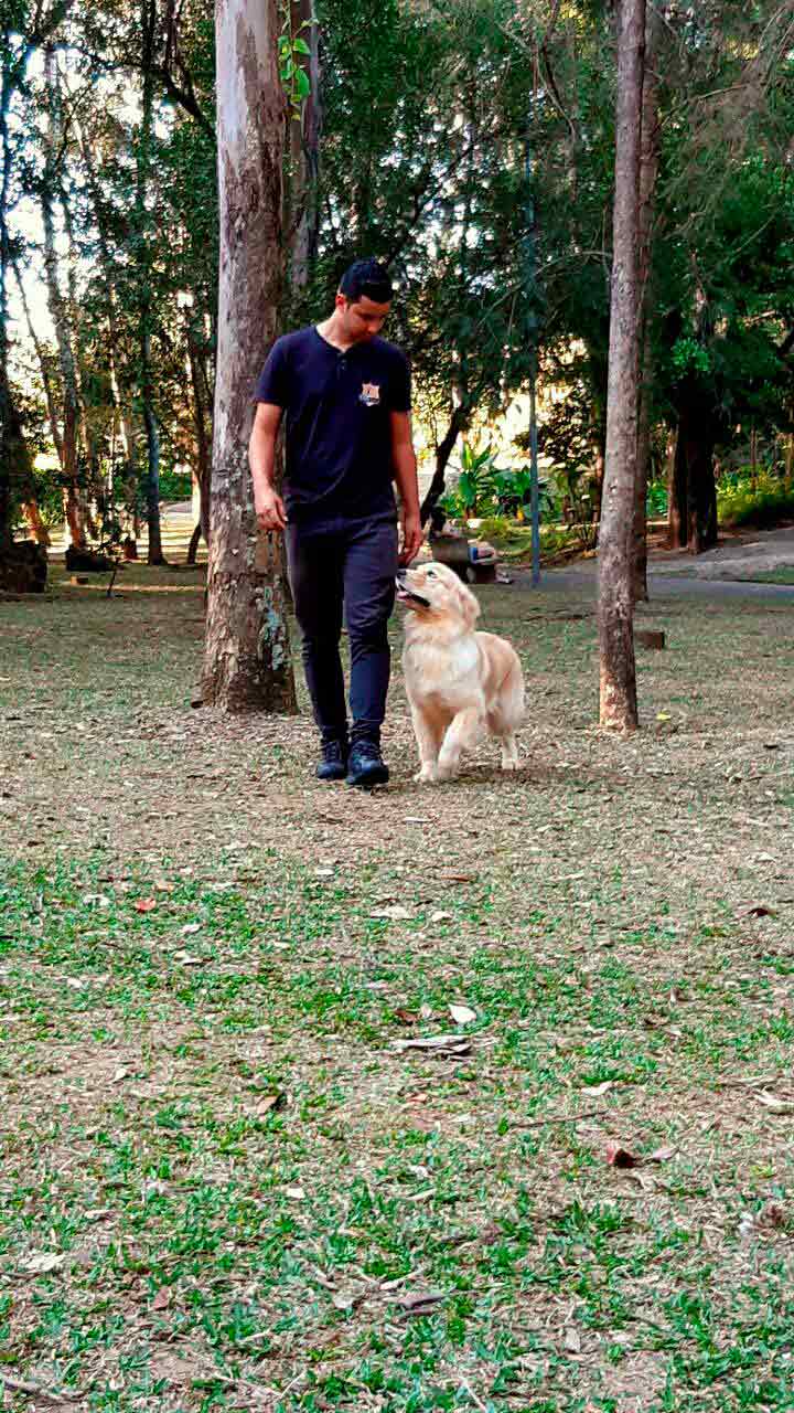 Adestrador de cachorro no ABC Imagem