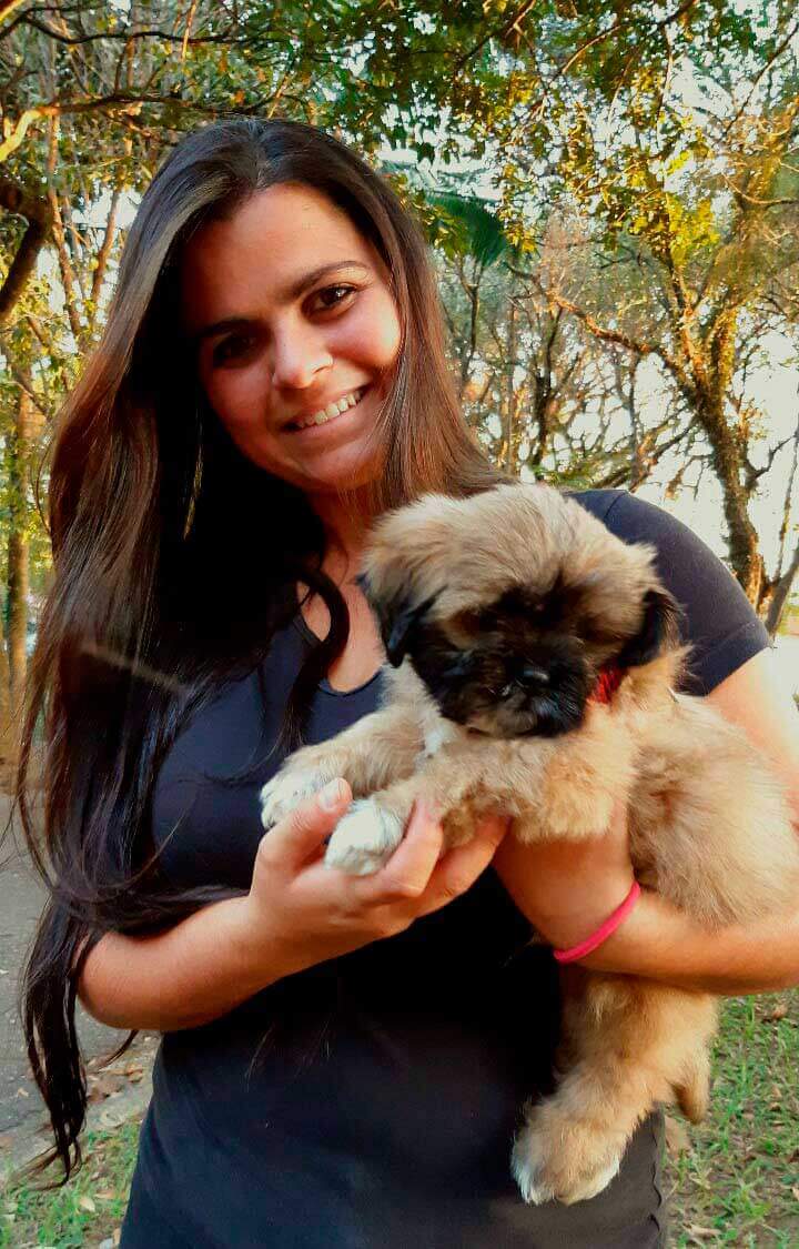 Adestramento cachorro filhote em SP Imagem