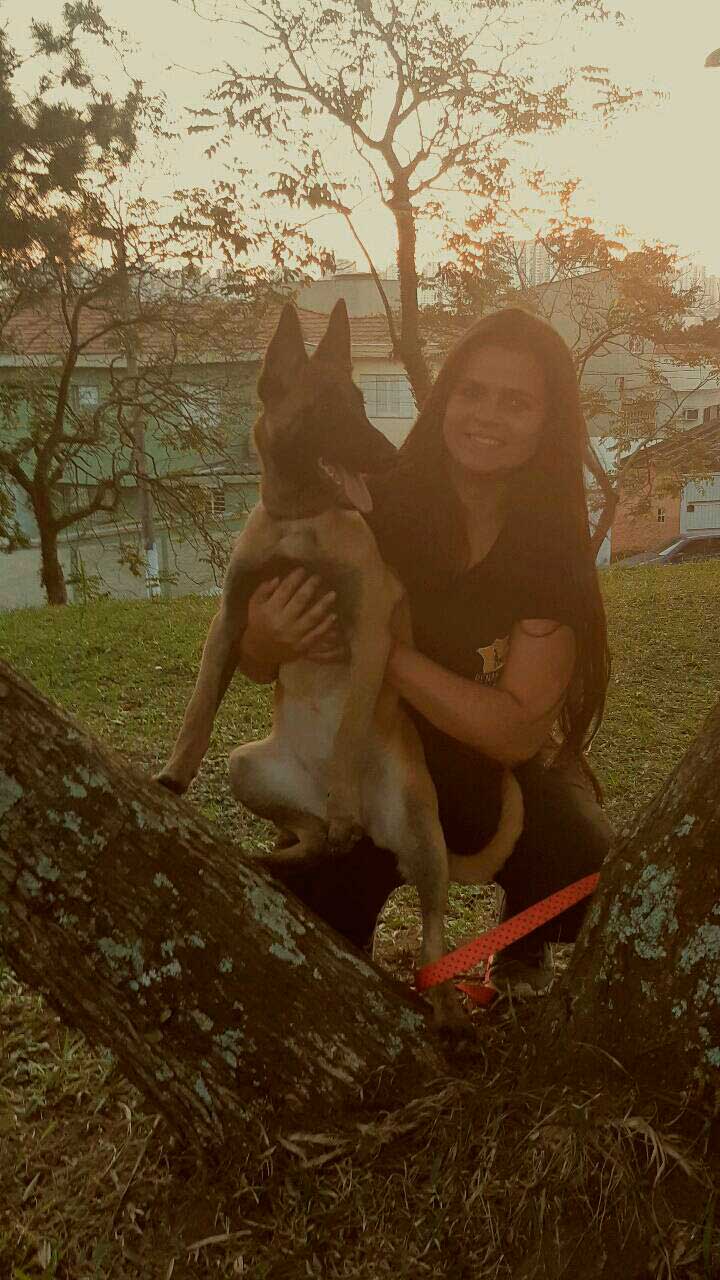 Adestramento cachorro filhote no ABC Imagem