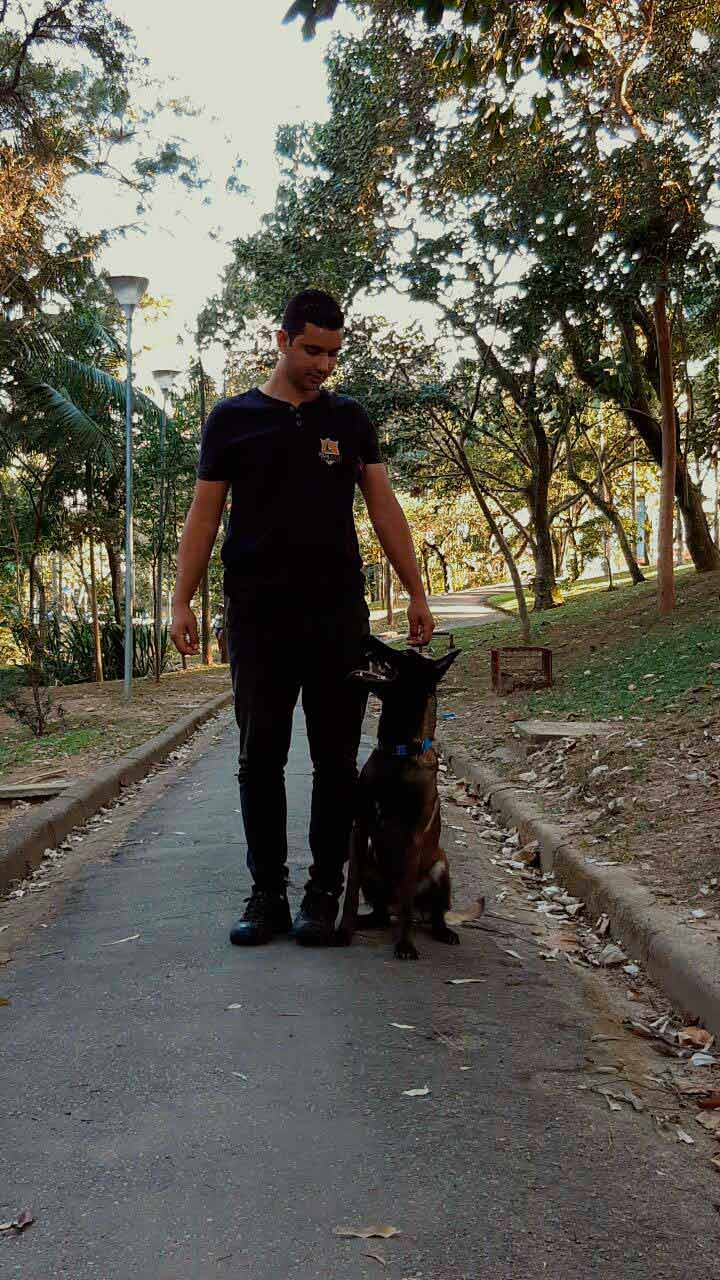 Adestramento de cachorro na zona sul Imagem
