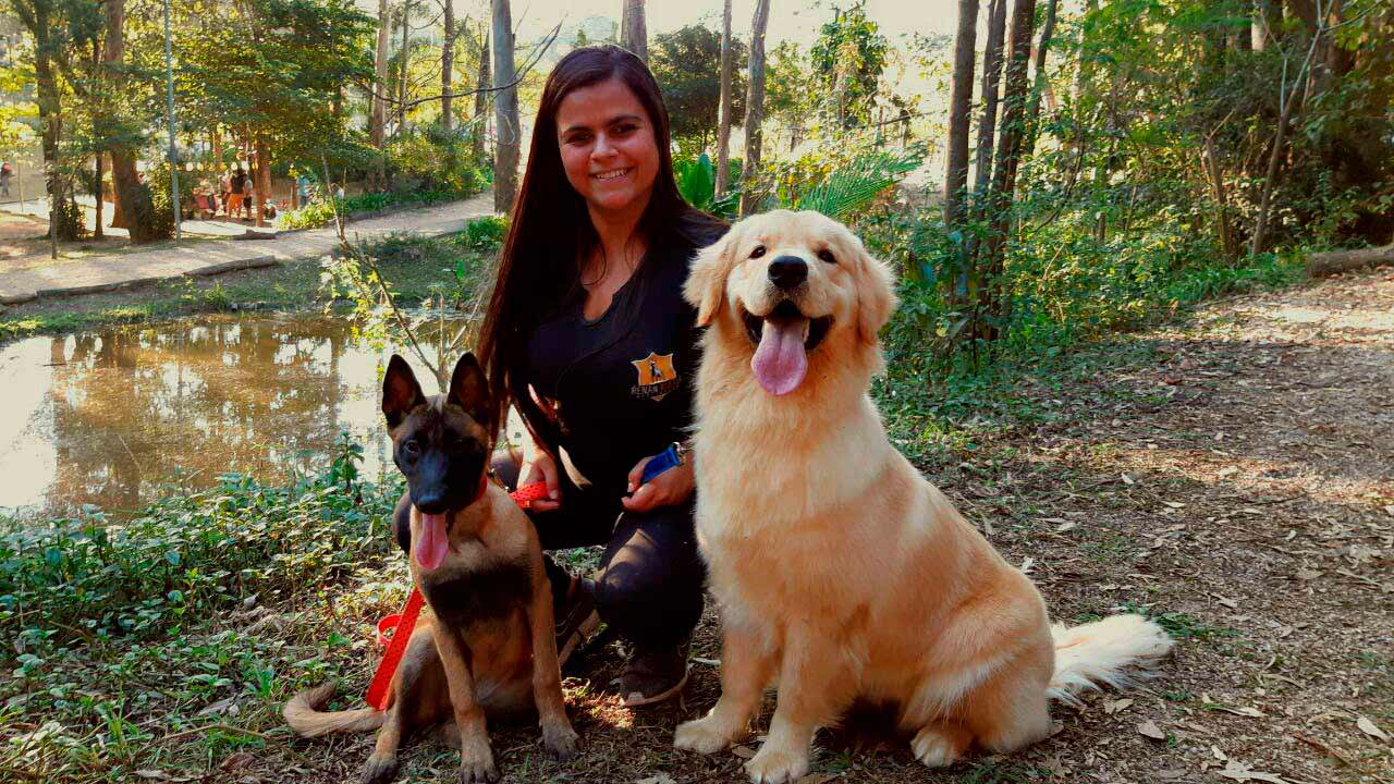 Adestramento profissional de cães na zona norte Imagem
