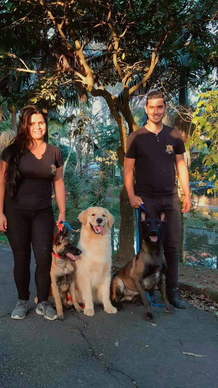 Dog Walker em Santo André Imagem