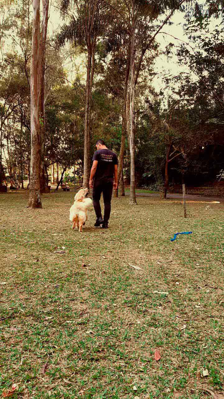 O melhor Dog Walker em São Paulo Imagem