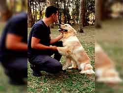Adestrador de Cães no Morumbi