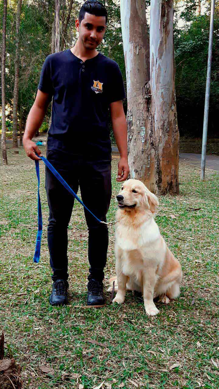 Treinador de cães em São Paulo Imagem